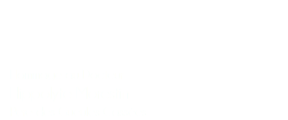  Hommage au Docteur Hippolyte Morestin Pere des Gueules Cassées